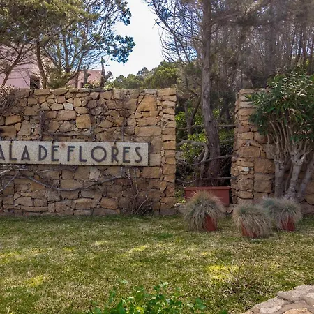 Cala Flores Sea View 400m From The Beach! Apartment *